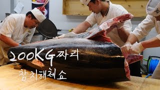 김씨마구로 참치해체쇼 / 노량진 수산시장 / Giant Tuna Cutting Show / Noryangjin Fish Market