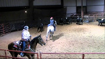 Valley View Ranch  - Lena Royal Bar - sorting   ***For info, price, etc., go to our website***