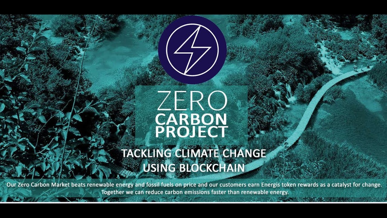 Image result for zero carbon ico review
