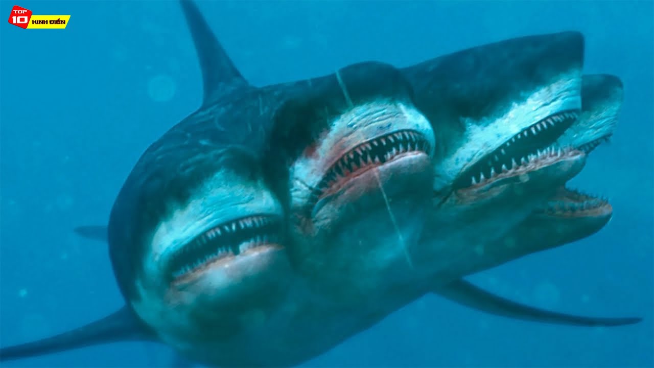 10 Loài Cá Mập Đáng Sợ Và Kỳ Lạ Vẫn Đang Ẩn Mình Dưới Đại Dương Sâu