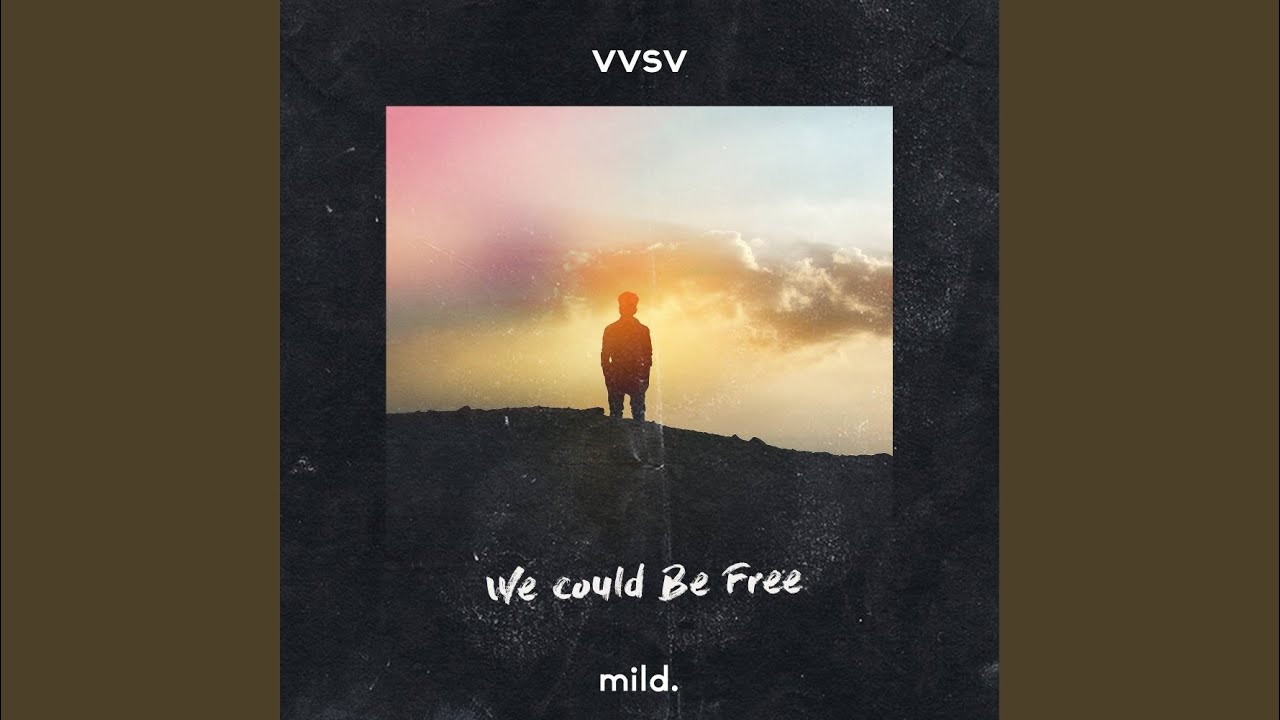 We Could Be Free (Original Mix)