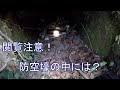 山の探索#9 閲覧注意!防空壕の中で見たものは……【Mountain exploration and old bottle hunting】