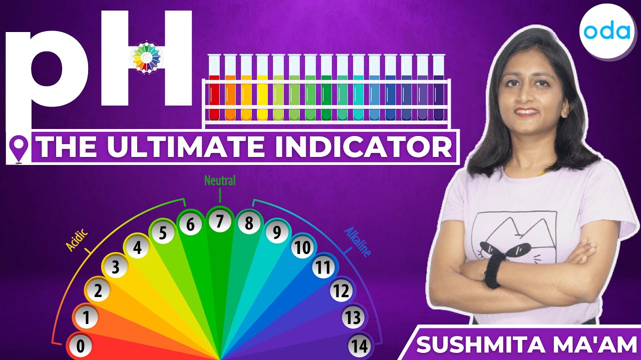 pH in Everyday Life Acids & Bases Universal Indicator YouTube