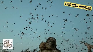 Epic Bird Hunting screenshot 2