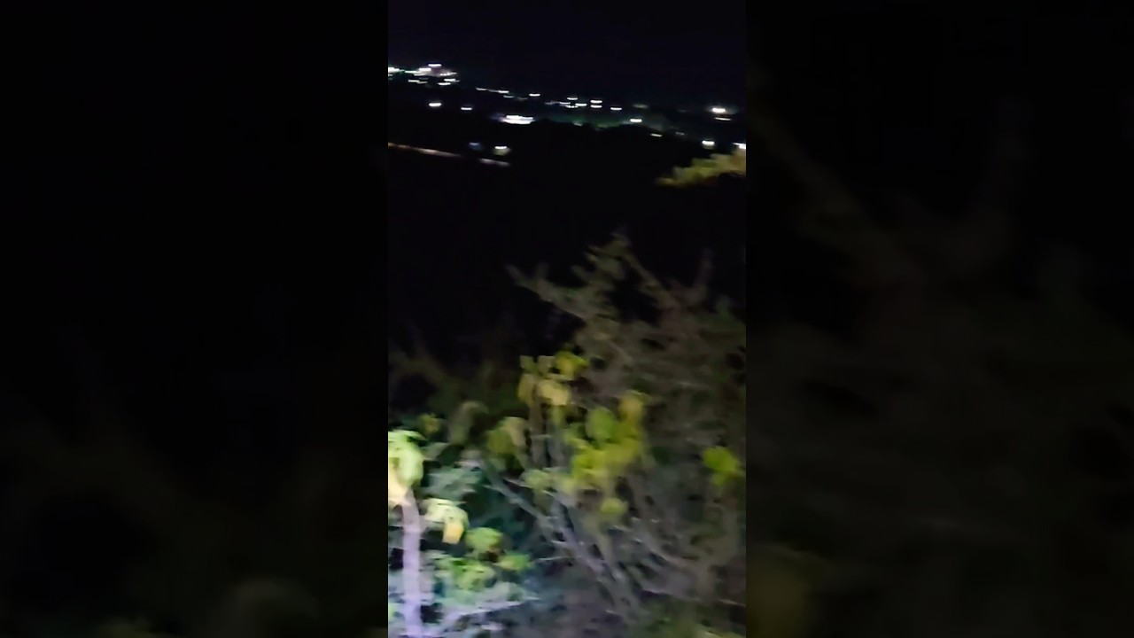 Forest Night Bushcraft Shelter Wild Animals 