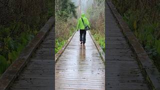 Hike To Oregons Largest Cedar Tree