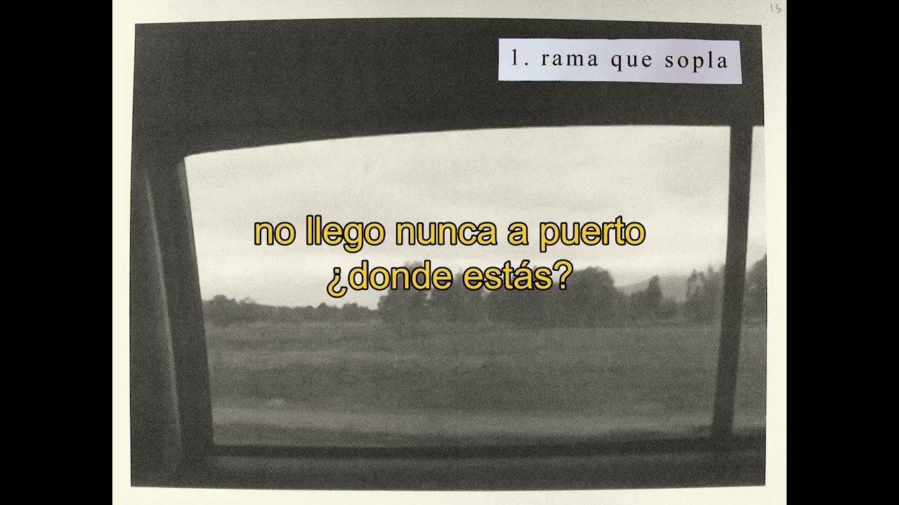 Miguel Botilla & juancarlos - rama que sopla (Visualizer)