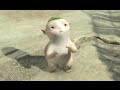 IL REGNO DI WUBA - clip "Wuba!"