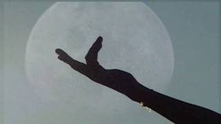 DEAR HUMANS - HARVEST MOON (official video) Profile