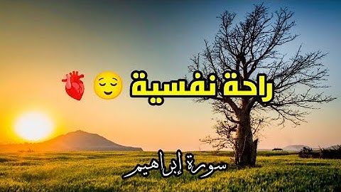 تلاوة مؤثرة تأخذك إلى عالم من السكينة والطمأنينة (أحمد سعيد العمراني)