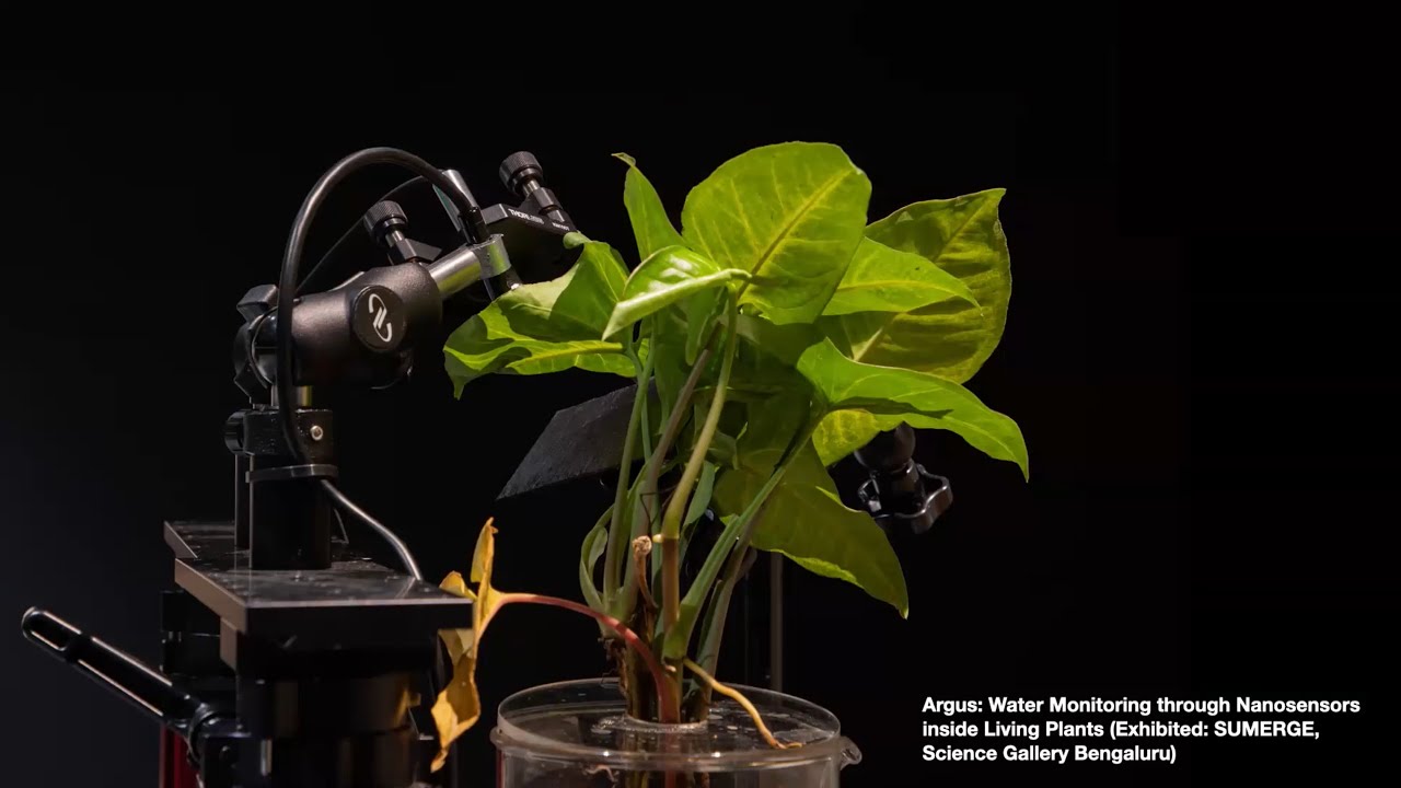 AMC Creative Synergy Seminar Series 02 | The Hybrid Turn: Designing with Living Matter and Machines