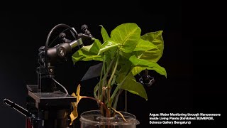 AMC Creative Synergy Seminar Series 02 | The Hybrid Turn: Designing with Living Matter and Machines