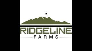 Ridgeline Farms : The Morning Wood Show 95