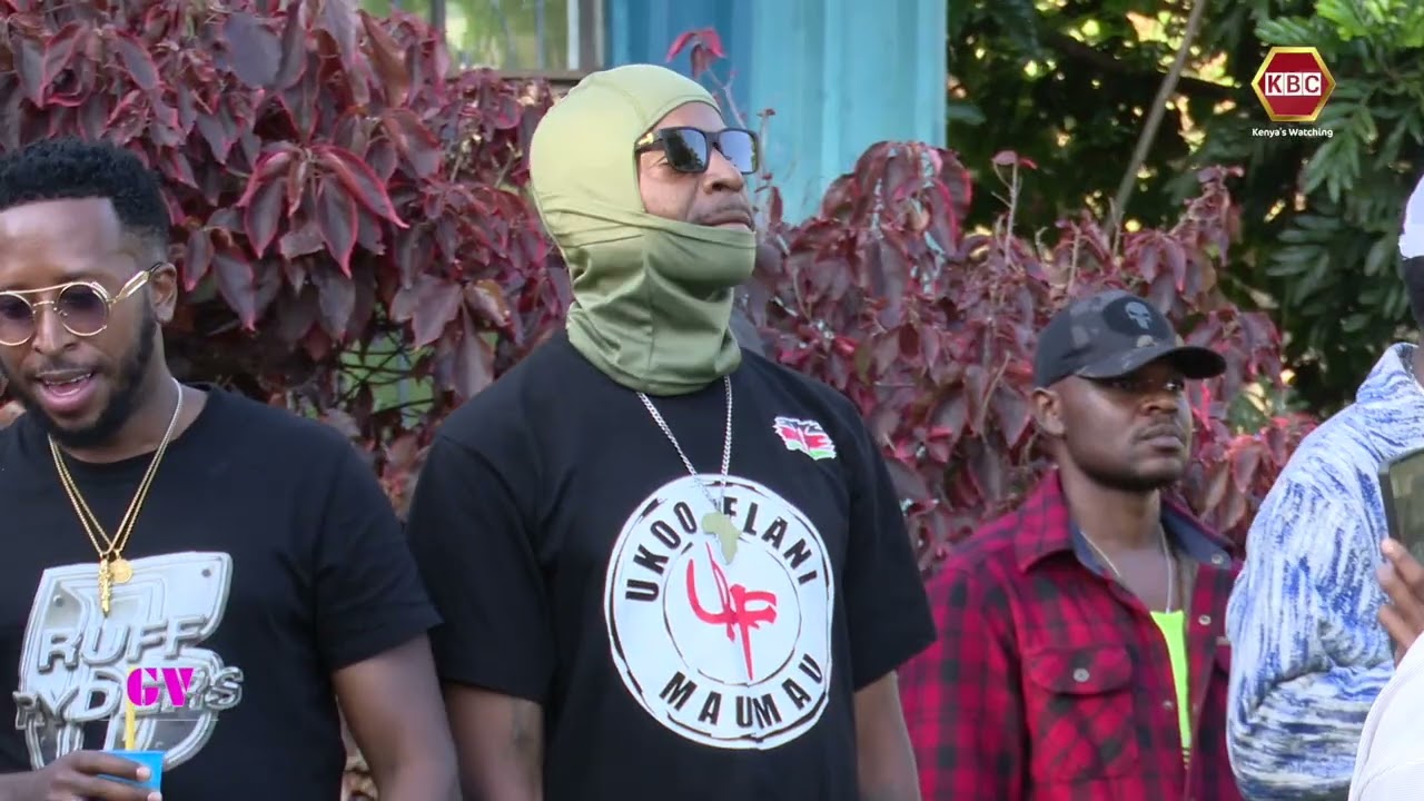 Grapevine | Kicks & Bars - A cultural fusion of style and sound