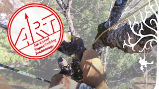 Big Oak Rigging with Highline and ART Ropeguide Twinline