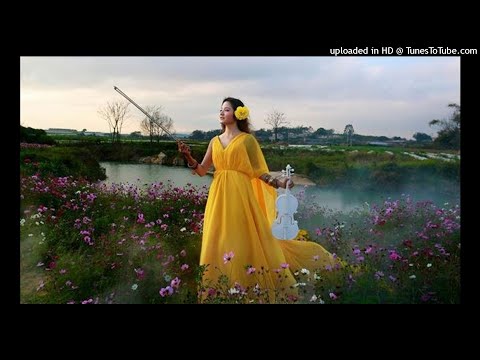 《我心已決》陳瑞