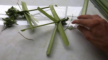 Hướng Dẫn Cách Làm Con Chuồn Chuồn Bằng Lá Dừa