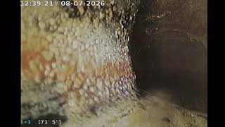 2026 08 07 12 08 20