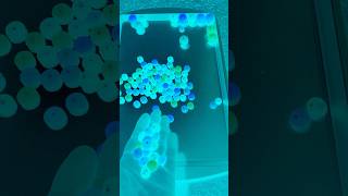 Which Ringtone You Like The Most 