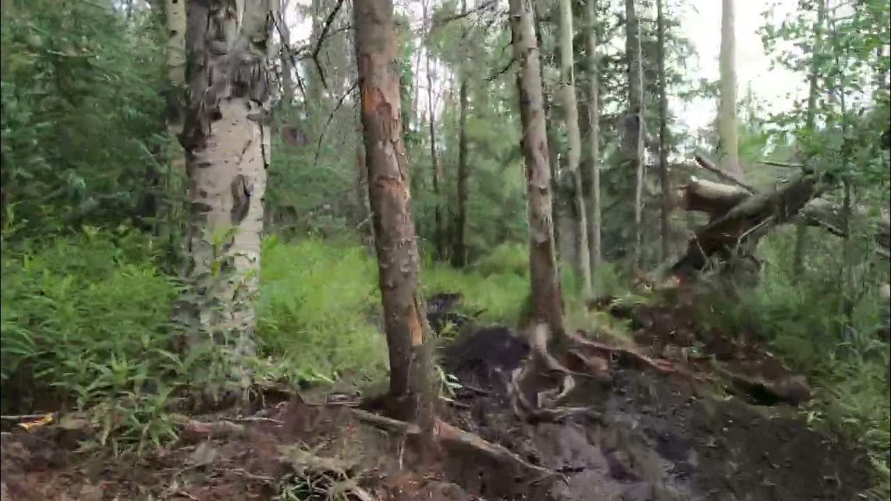 RMEC Race Series, Shady Burro Enduro, Day 01 Test 06 of 06, Waylon RMEC Race Series, Shady Burro Enduro, Day 01 Test 06 of 06, Waylon