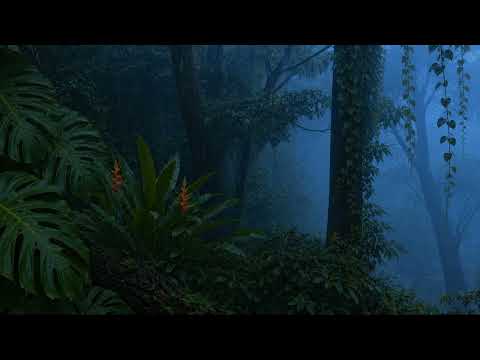 Heavy Rainforest Downpour ✿ Rain and Jungle Sounds for Deep Rest