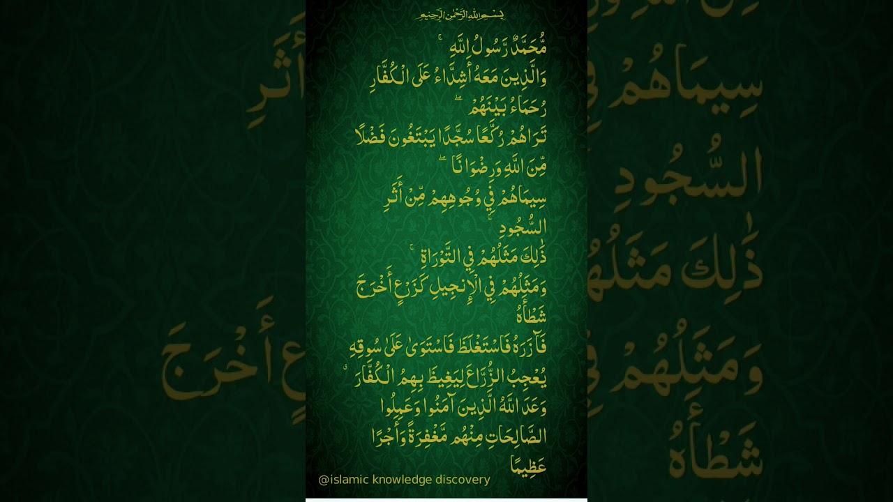 Muhammadur Rasulullah ﷺ | Surah Muhammad Ayat | Heart Touching Quran Recitation#quran