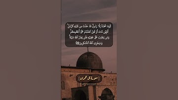 سورة آل عمران الآية ١٤٤ بصوت الشيخ محمد صديق المنشاوي