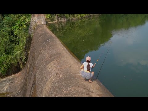 Fishing Video. Beautiful Girl Fishing Big Black Carp . Hook Fishing