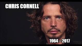 Chris Cornell * Pillow Of Your Bones    HQ