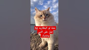 #explore #quran #قرآن #سورة_الكهف #اسلام_صبحي #اكسبلور #قران_كريم #اكسبلور_explore #explorepage #كا