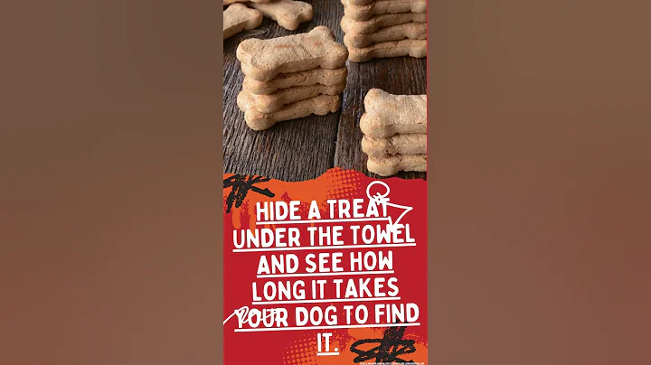 how do I measure my dog's iQ