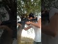 Shooting the 22