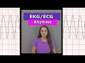 ECG EKG Heart Rhythms Nursing Shorts Afib Vtach Bradycardia Sinus Rhythm Aflutter