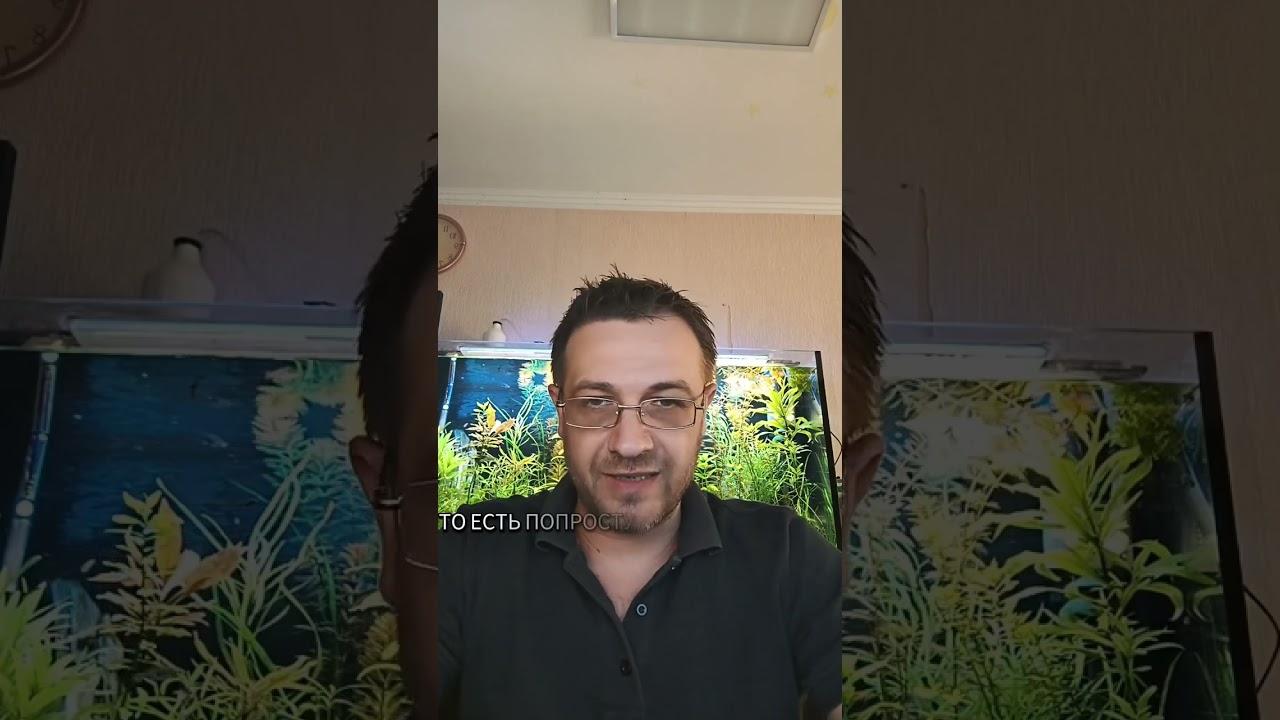 Цеолит в аквариуме, его виды и как он работает