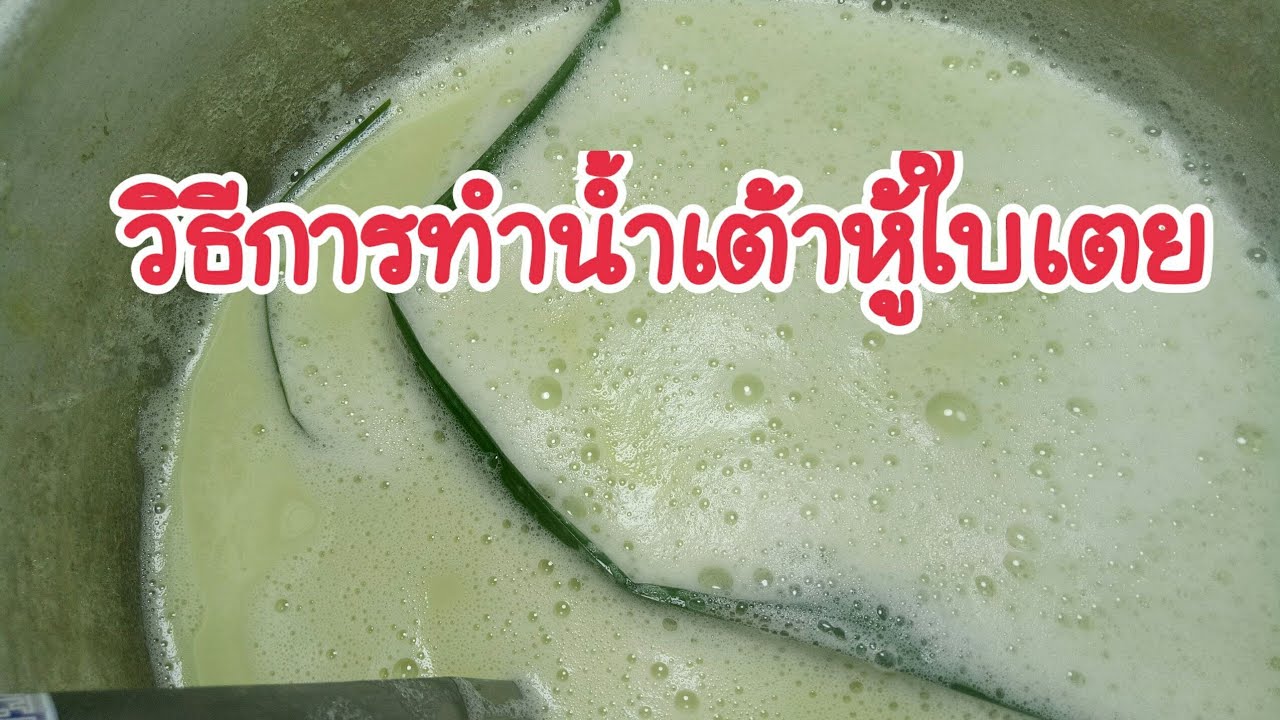 วิธีทำน้ำเต้าหู้ใบเตย เผยสูตรลับทำเป็นอาชีพเสริม/ครัวติดโบ  by ครูแดง