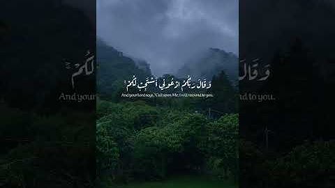 القرآن الكريم _ سورة غافر _ احمد النفيس