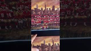 San Francisco 49ers Wall Art |