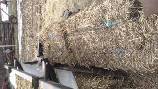 Bale converter Milford farms