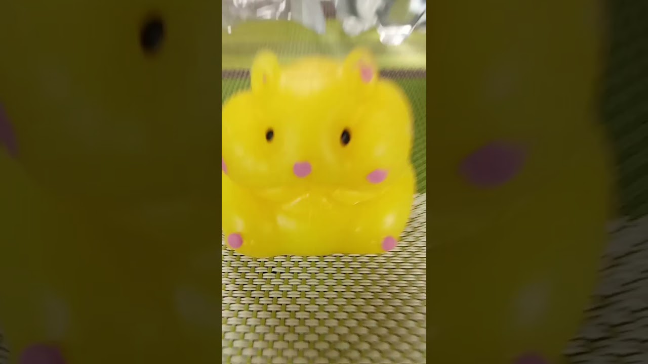 Хомяк🐹 Вау🫶🏻🫶🏻