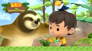 A SLOTH that can move in a FLASH?! 🏎️⚡ | Three-toed Sloth | Leo the Wildlife Ranger | Kids Cartoons