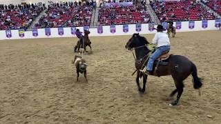 World Series of Team Roping #11.5 Finale Top 20 - 2019 Short Go