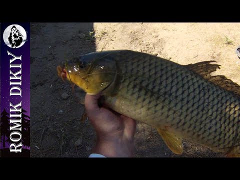 Рыбалка на реке Или. Летнее пекло. (6-8 июля 2017г.)
