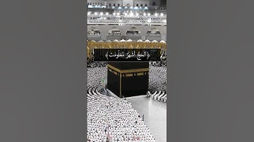 الحج أشهر معلومات-سورة البقرة-القارئ🎙: ياسر الدوسري (قرآن كريم)