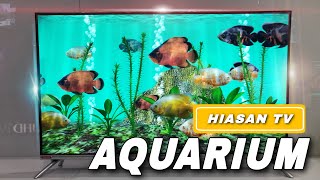 Cara Membuat Hiasan Aquarium di Changhong Android TV screenshot 4