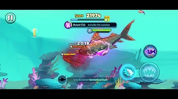 Playing fish eat fish.io with plesiosaurs 