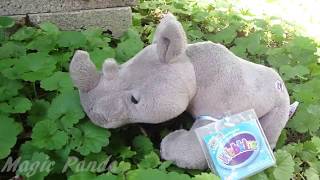 Thats How You Change The World- Completed Webkinz MEP