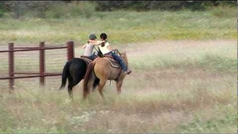 Valley View Ranch  - SBF Holilena Pep -   ***For info, price, etc., go to our website***