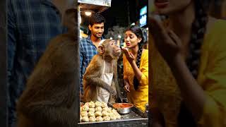 Bandar bna momos bala 😄😄#short #viralvideo