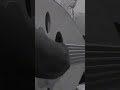 عود عراقي حزين 