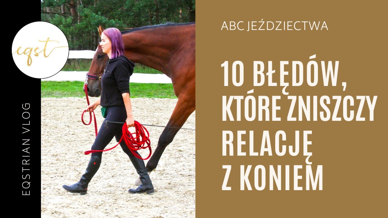 10 BŁĘDÓW, KTÓRE ZNISZCZĄ TWOJĄ RELACJĘ Z KONIEM |  abc jeździectwa